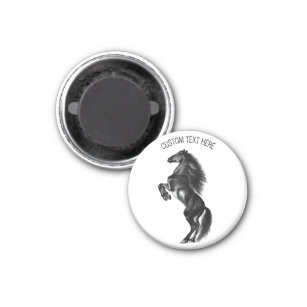 Schwarzes Wildpferd - Schwarzweiß Zeichnend Magnet