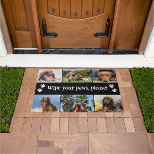 Schwarzes Wischen Sie Ihre Paws 6 Hunde Fotos Fußmatte