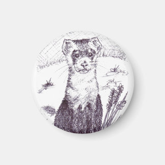 Schwarzfußbrille - Magnet