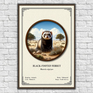 Schwarzfußiltis-Zoologie-Serie Poster