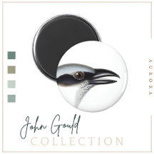 Schwarzgesichtiger Cuckoo-shrike Magnet