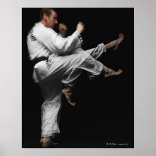 Schwarzgürtel, der einen Vorderkick macht Poster