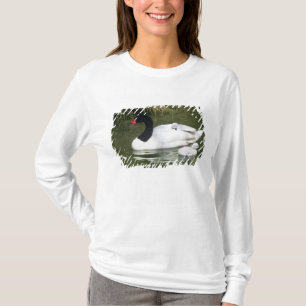Schwarzhalsschwan erwachsen und Zygnette in Wasser T-Shirt