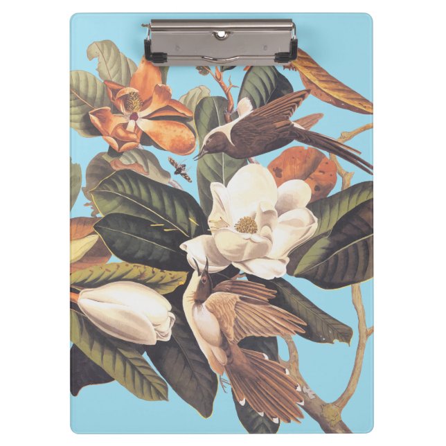 Schwarzhaltiger Kuckuckoo-Vogel Klemmbrett (Vorderseite)