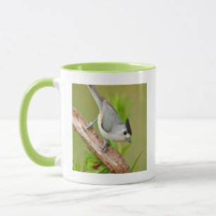 Schwarzhauben-Meise Tasse