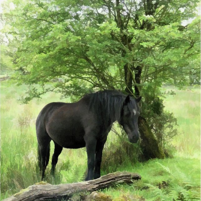 SCHWARZHORSE KERAMIKKNAUF (A beautiful black mare resting in the shade of a tree.)