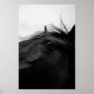 SCHWARZHORSE POSTER