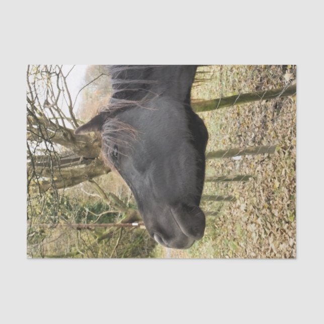 SCHWARZHORSE SEIDENPAPIER (Vorderseite)