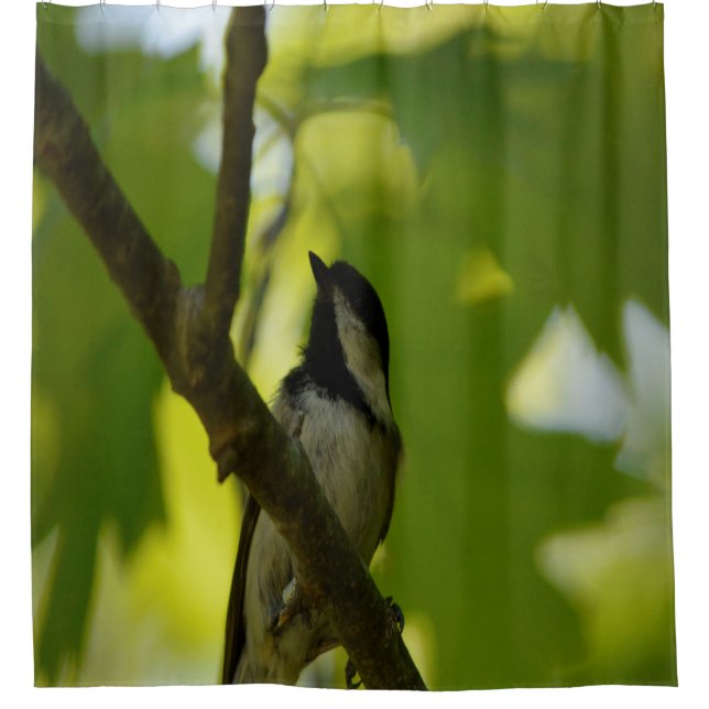 SCHWARZKADEE-DUSCHKURTAIN DUSCHVORHANG (Vorderseite)