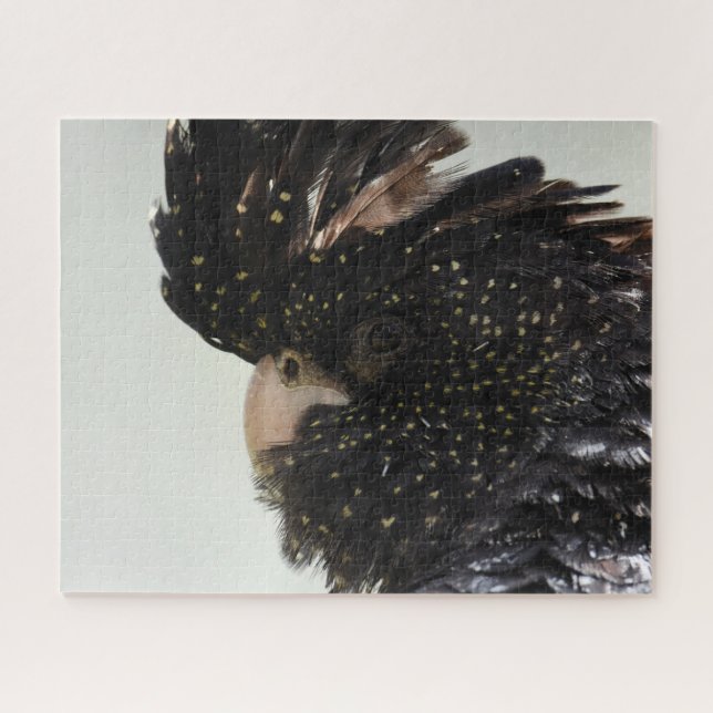 Schwarzkakadu Puzzle (Horizontal)