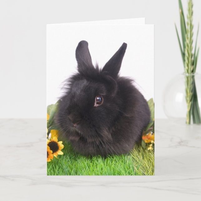 Schwarzkaninchen Feiertagskarte (Vorderseite)