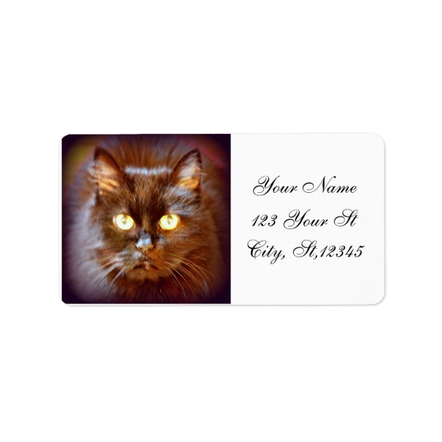 Schwarzkatze Adressaufkleber (Vorne)