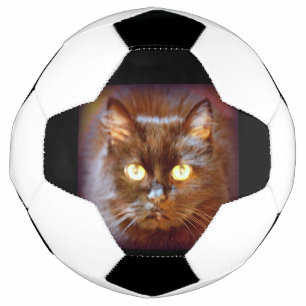 Schwarzkatze Fußball