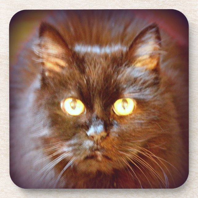 Schwarzkatze Getränkeuntersetzer (Vorderseite)