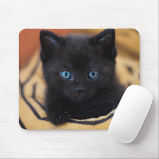 Schwarzkatze Mousepad