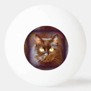 Schwarzkatze Tischtennisball