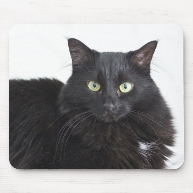 Schwarzkatzenmousepad Mousepad (Vorne)