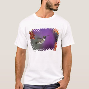 Schwarzkehlnymphe, Archilochus alexandri, T-Shirt