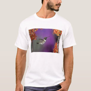 Schwarzkehlnymphe, Archilochus alexandri, T-Shirt