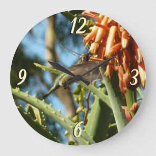 Schwarzkehlnymphe im Flug Große Wanduhr