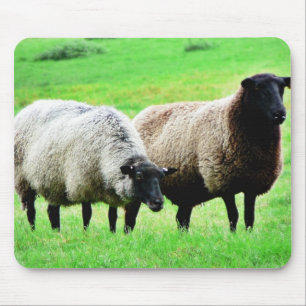 Schwarzköpfige Schafe Mousepad