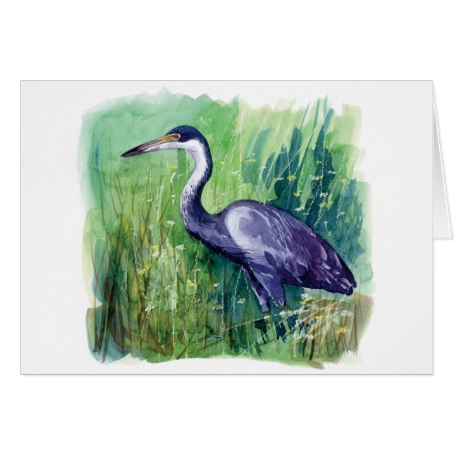 schwarzköpfiger Reiher (Vorderseite (Horizontal))