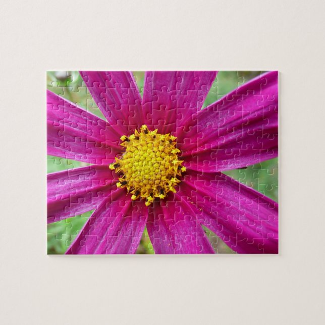 Schwarzkosen-Wildblume Puzzle (Horizontal)