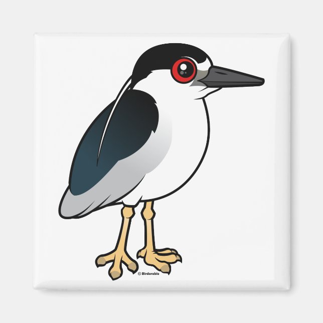 Schwarzkronenheron Magnet (Vorne)