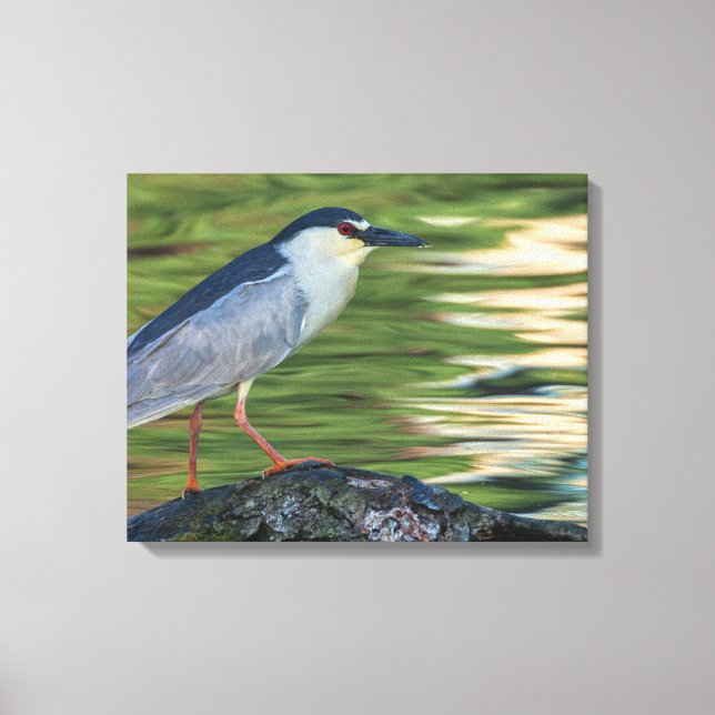 Schwarzkronenportrait Leinwanddruck (Vorderseite)