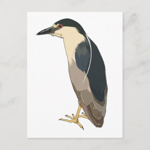 Schwarzkronenvogel Postkarte