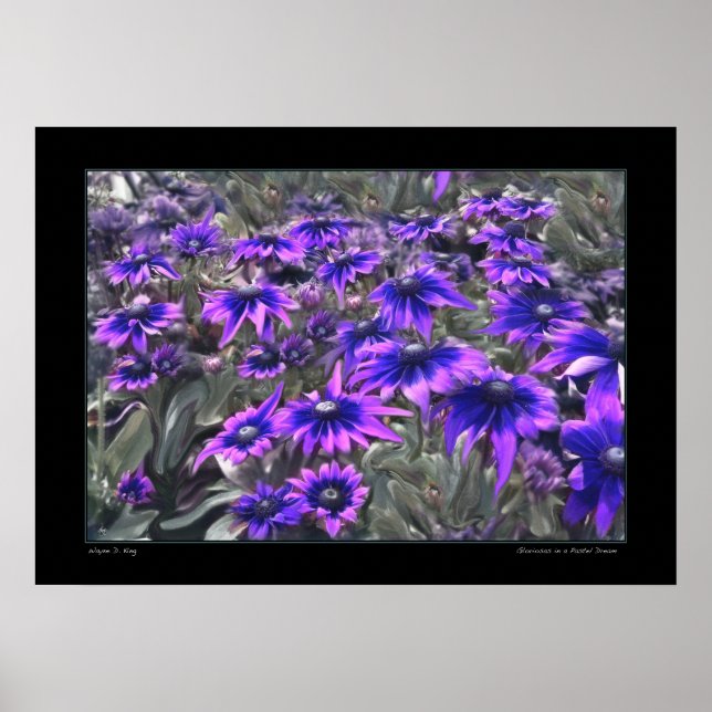 Schwarzlichtmoment im Gloriosa-Poster Poster (Vorne)