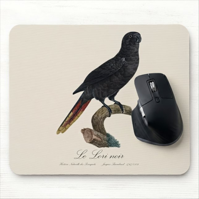 Schwarzlori oder Schwarz-Lori, Chalcopsitta atra Mousepad (Black Lory or Red-Quilled Lory, Chalcopsitta atra. Mouse Pad)