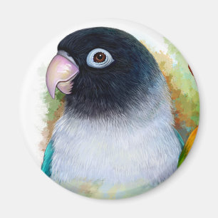 Schwarzmaskenvogel Magnet