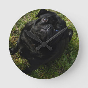 SchwarzMops full.png Runde Wanduhr
