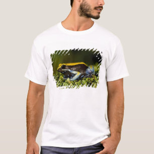 Schwarzohr-Mantella, Mantella expectata, T-Shirt