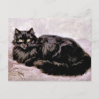 Schwarzpersische Katze Postkarte
