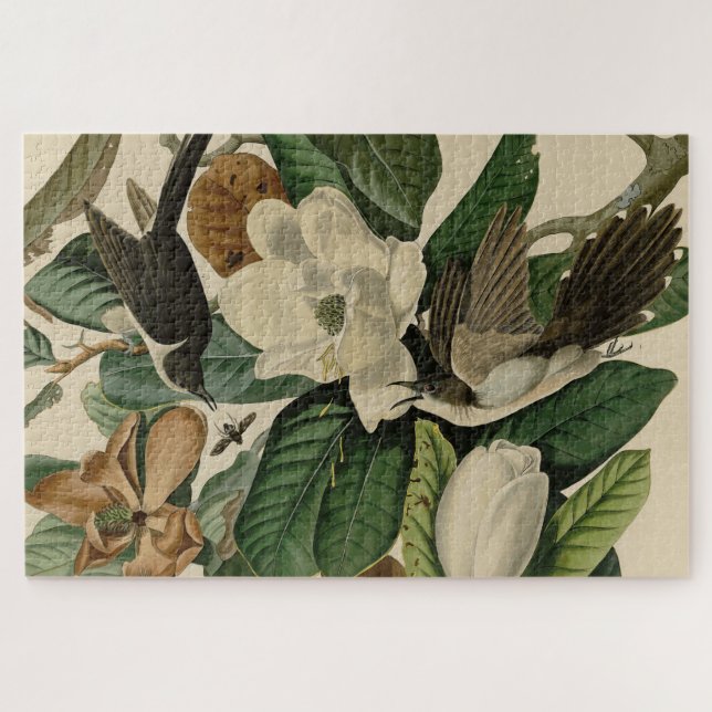 Schwarzschnabelkuckuck - Audubons Vögel in Amerika Puzzle (Horizontal)