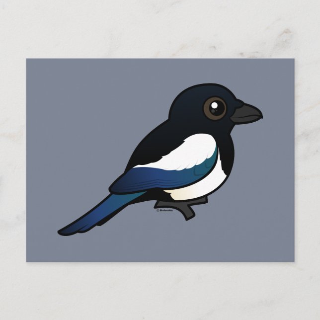 Schwarzschnabelmagpie Postkarte (Vorderseite)