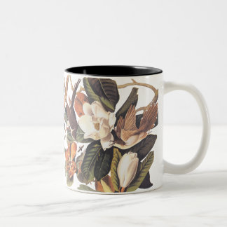 Schwarzschnabelvögel Zweifarbige Tasse