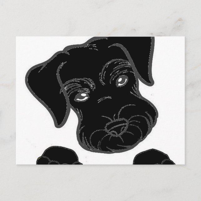 Schwarzschnauzer Postkarte (Vorderseite)