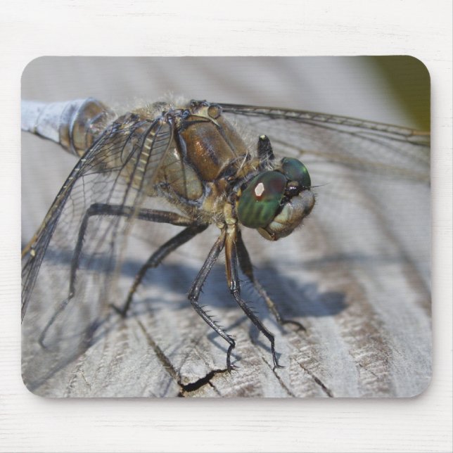 Schwarzschwänzchen Mousepad (Vorne)