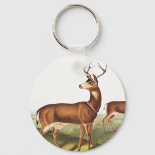Schwarzschwanzhirsche (Cervus Richardsonii) Schlüsselanhänger