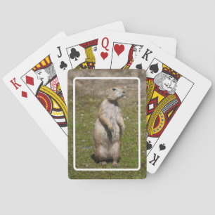 Schwarzschwanzhund Spielkarten