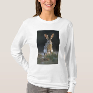 Schwarzschwanzkaninchen, Lepus californicus, 2 T-Shirt