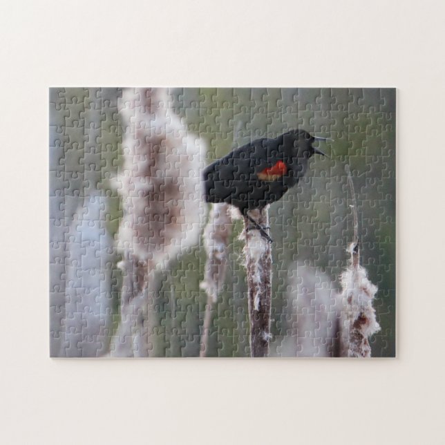 Schwarzvogel (Agelaius phoeniceus) Puzzle (Horizontal)