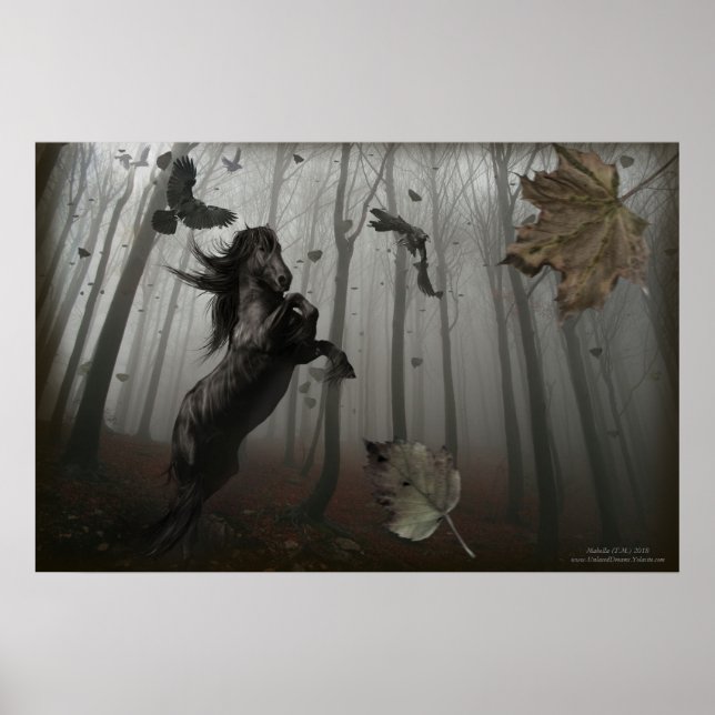 Schwarzwald Poster (Vorne)