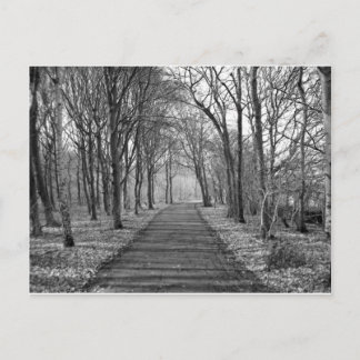 Schwarzwald Postkarte