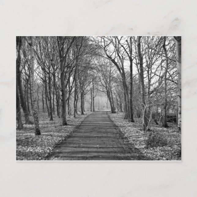 Schwarzwald Postkarte (Vorderseite)