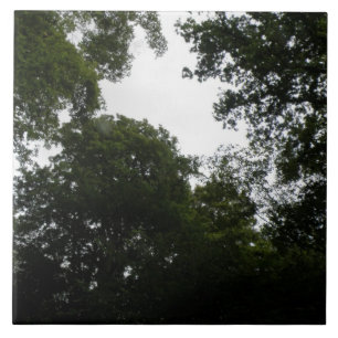 Schwarzwald-Tile Fliese