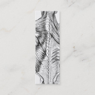 Schwarzweiss-Anatomie-Kunst-Rückenmuskel (1890) Mini Visitenkarte